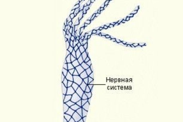 Кракен даркнет официальный
