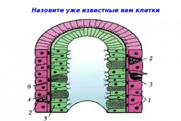 Кракен даркнет не работает