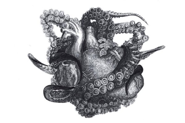 Kra33.cc