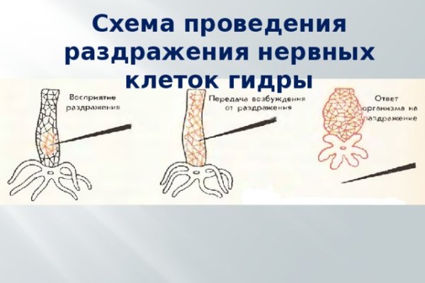 Что такое kraken в россии