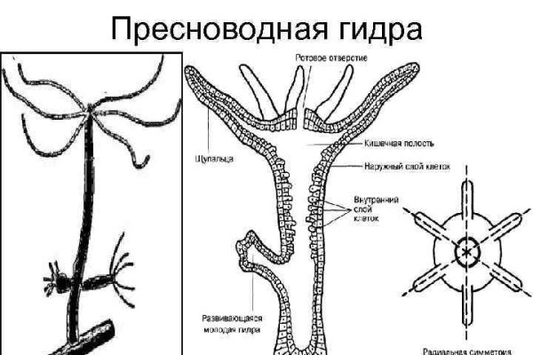 Кракен даркнет лол