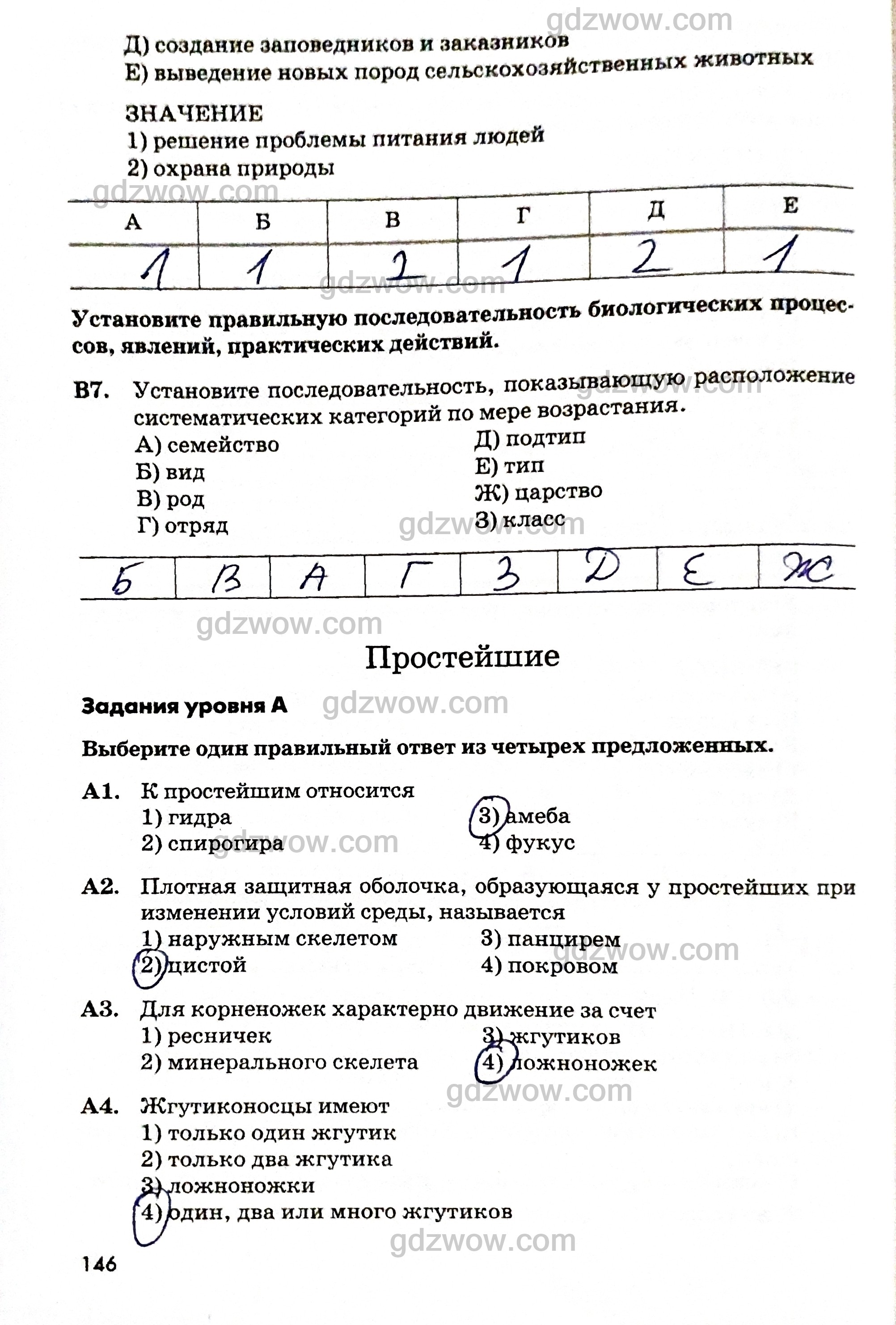 Кракен тгк