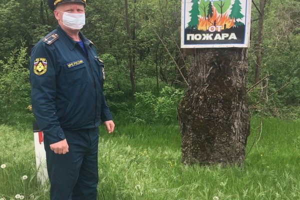 Кракен нов
