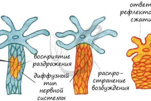 Кракен шеринг