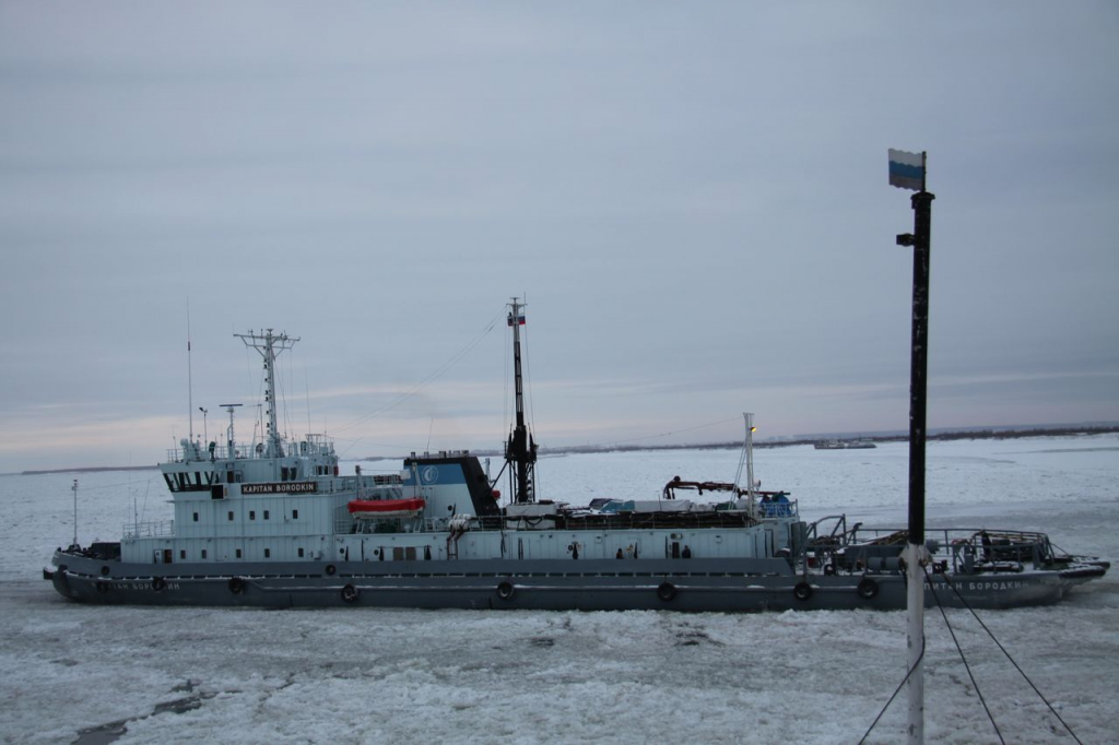 Кракен порошок